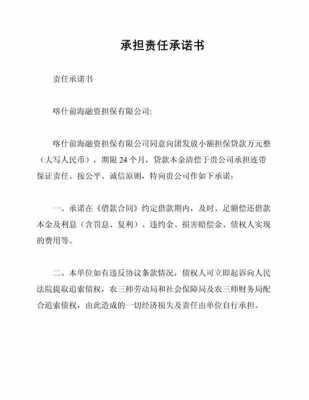 承诺资料真实性及法律责任-资料承诺函模板-第1张图片-马瑞范文网