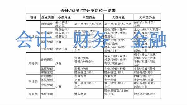 财务职业定位-职业定位财管模板-第2张图片-马瑞范文网