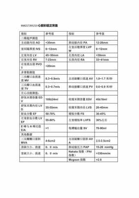 心脏超声检查正常报告模板-第1张图片-马瑞范文网