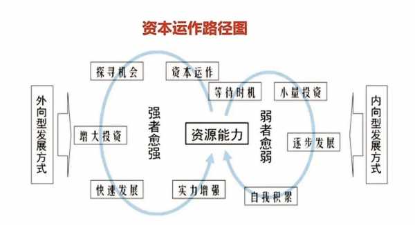 资本盈利路径-资本经营盈利分析模板-第2张图片-马瑞范文网