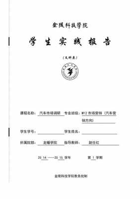 市场调查报告模板_市场调查报告模板范文-第3张图片-马瑞范文网