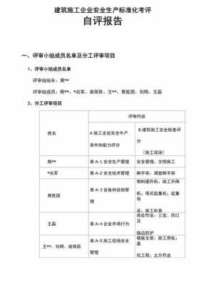 企业自评总结报告模板（企业自评报告及自评表）-第3张图片-马瑞范文网