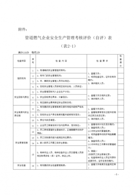 企业自评总结报告模板（企业自评报告及自评表）-第1张图片-马瑞范文网