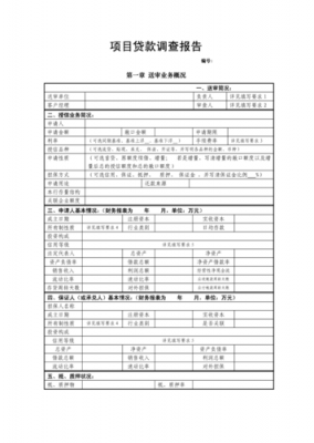 银行信贷客户调查模板图片-银行信贷客户调查模板-第2张图片-马瑞范文网