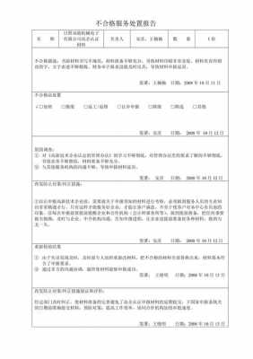 处置报告的模板怎么写-第2张图片-马瑞范文网