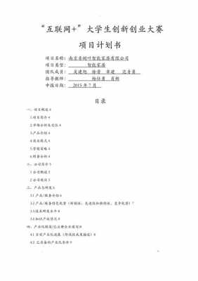 创新型项目策划书模板_创新型项目策划书模板下载-第2张图片-马瑞范文网