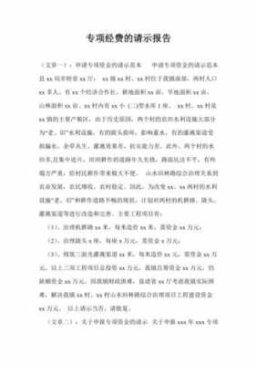 专项支出请示报告模板怎么写 专项支出请示报告模板-第2张图片-马瑞范文网