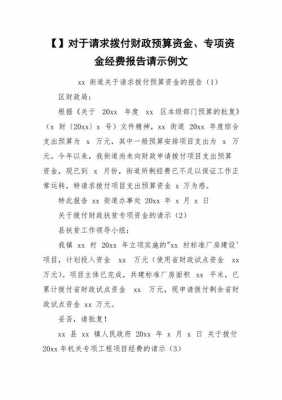 专项支出请示报告模板怎么写 专项支出请示报告模板-第3张图片-马瑞范文网