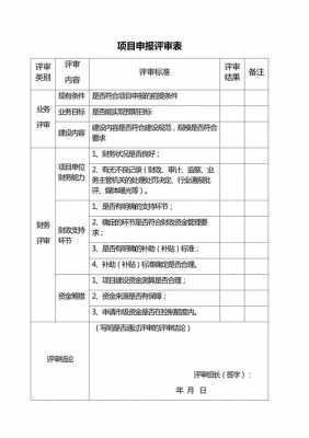 项目评审申请报告 申报项目评审报告模板-第1张图片-马瑞范文网