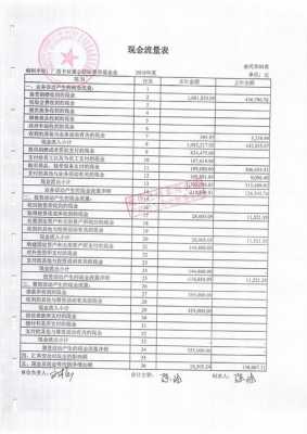 净资产审计报告模板图片-第2张图片-马瑞范文网