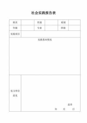 近纲社会实践报告模板-第2张图片-马瑞范文网