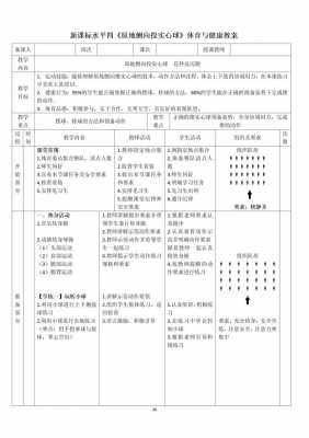 体育课课堂常规教案模板-第3张图片-马瑞范文网