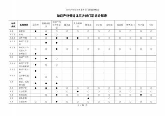 知识产权规划表模板,知识产权规划表模板怎么做 -第2张图片-马瑞范文网