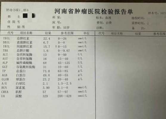 血液检测报告分析-血液分析报告单模板-第2张图片-马瑞范文网