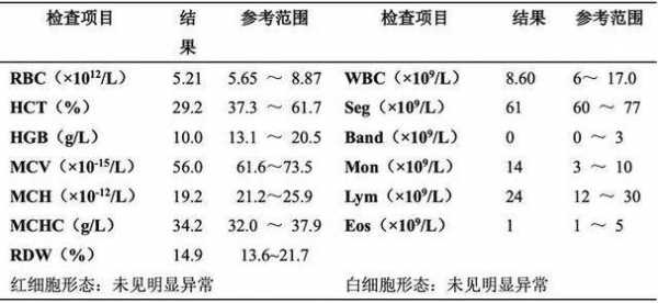 血液检测报告分析-血液分析报告单模板-第3张图片-马瑞范文网