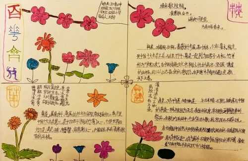 百花齐放手绘图片大全简笔画-百花齐放的手抄报模板-第3张图片-马瑞范文网