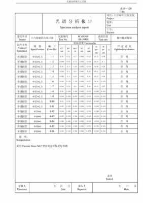 亮化报告-第3张图片-马瑞范文网