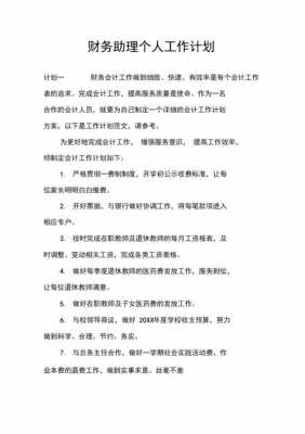 会计助理工作计划模板怎么写-会计助理工作计划模板-第3张图片-马瑞范文网