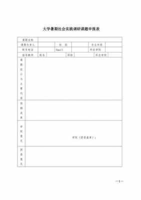 大学社会实践调研模板-第2张图片-马瑞范文网