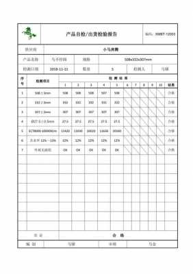 自检验报告模板_自检报告是什么-第2张图片-马瑞范文网