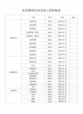 美容院新增项目模板_美容院新增项目模板怎么写-第2张图片-马瑞范文网