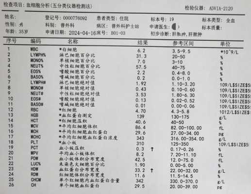 三系统报告模板,三系统正常化验单的图片 -第2张图片-马瑞范文网