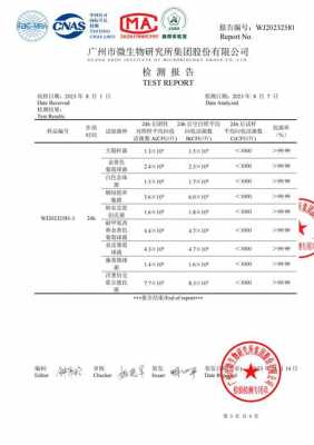 涂料测试报告模板-第2张图片-马瑞范文网