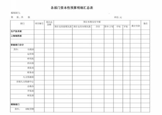 部门预算汇总表模板_部门预算汇总表模板怎么做-第2张图片-马瑞范文网