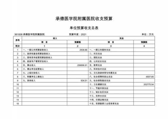 医院收支预算编制模板_医院收支预算编制模板图片-第1张图片-马瑞范文网