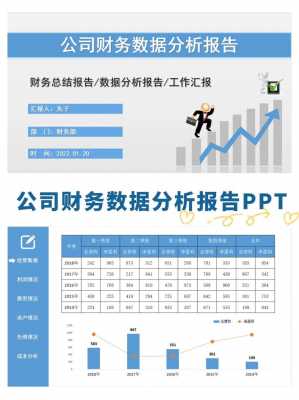 公司财务分析报告半年度模板（半年度财务分析汇报ppt）-第2张图片-马瑞范文网