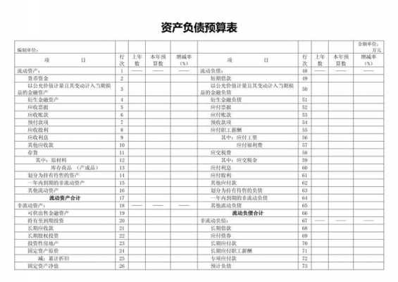 预算会计资产负债表模板-预算资产报表模板-第1张图片-马瑞范文网