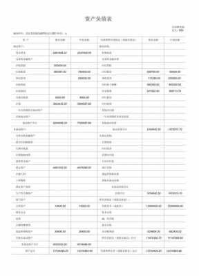 预算会计资产负债表模板-预算资产报表模板-第2张图片-马瑞范文网